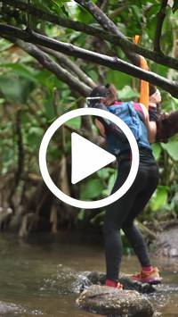 BIB:  <button type="button" onclick="openModal(27553724)" class="btn btn-primary btn-sm float-right" data-toggle="modal" data-target=".modal-high-quality">
                <i class="fa fa-download"></i> Download
                </button>